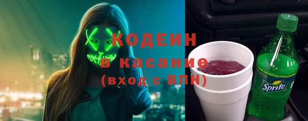 индика Козловка