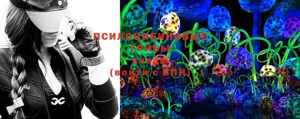 индика Козловка