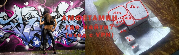 индика Козловка