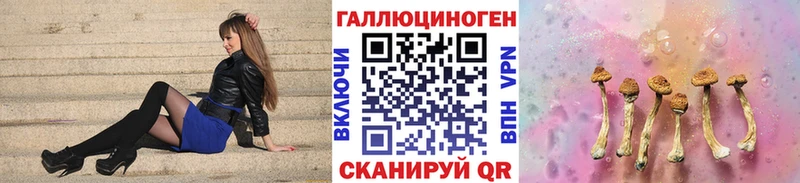 Псилоцибиновые грибы Psilocybine cubensis  Краснознаменск 