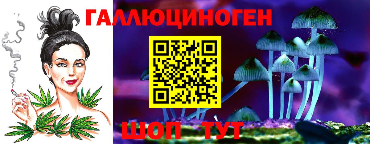 Краснознаменск  Псилоцибиновые грибы ЛСД  Вход с VPN 
