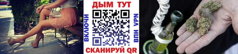 блэк спрут вход  Краснознаменск  МАРИХУАНА ГИДРОПОН  продажа наркотиков 