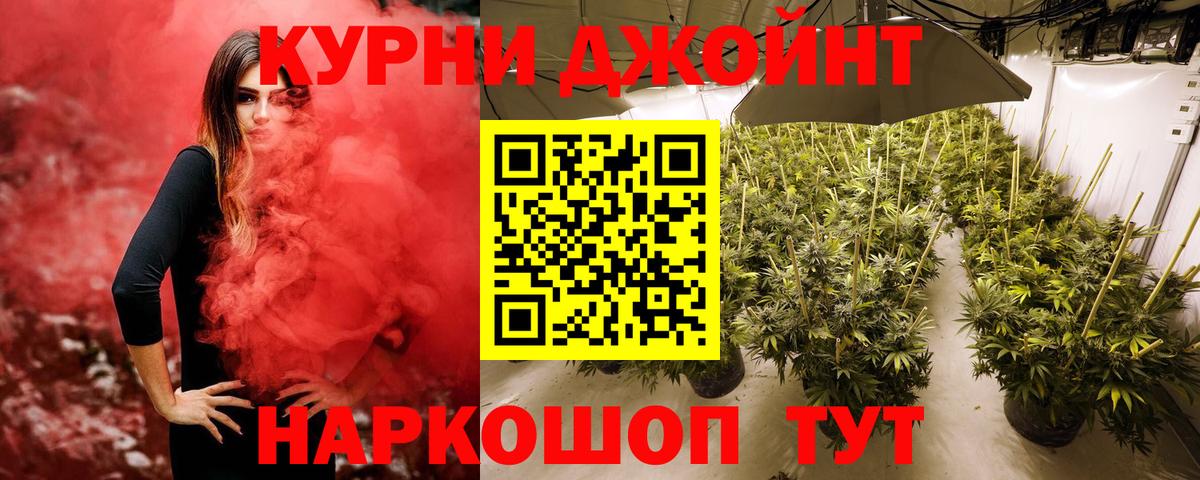 Бошки марихуана Ganja  Вход с VPN  Каннабис гибрид  Краснознаменск  Бошки Шишки планчик  Марихуана THC 21% 